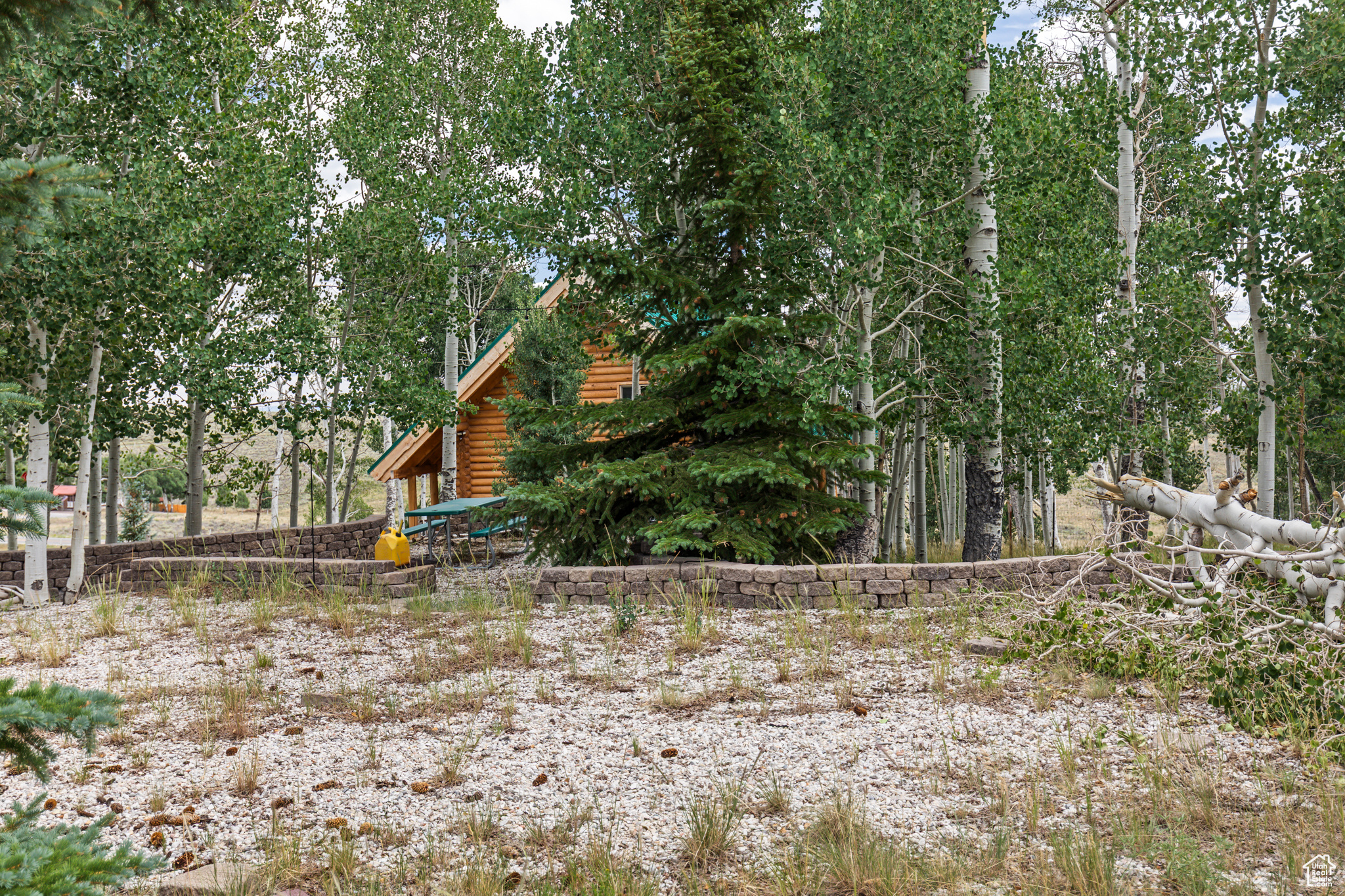 Fish Lake