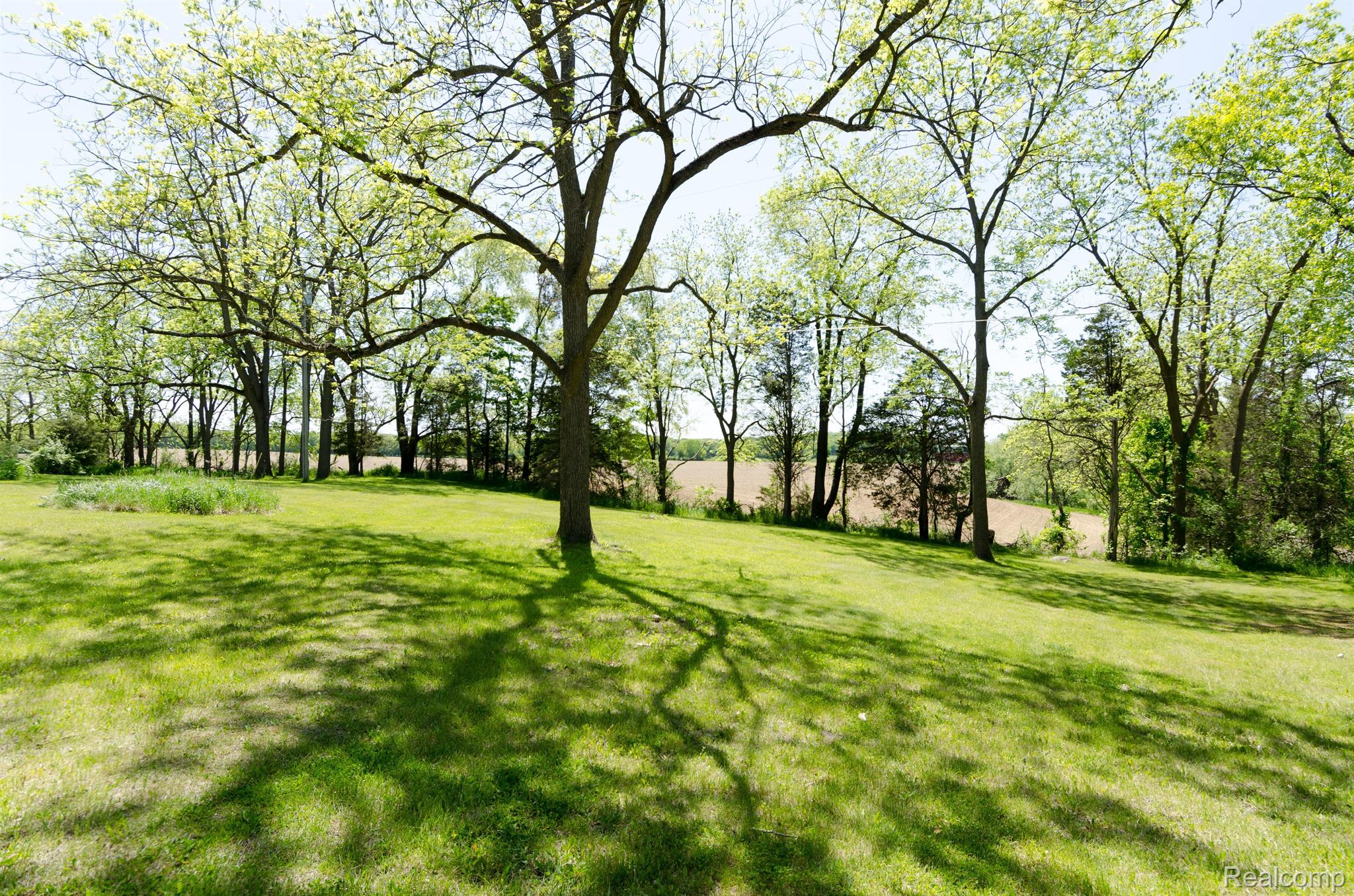 13800 LONE TREE Road