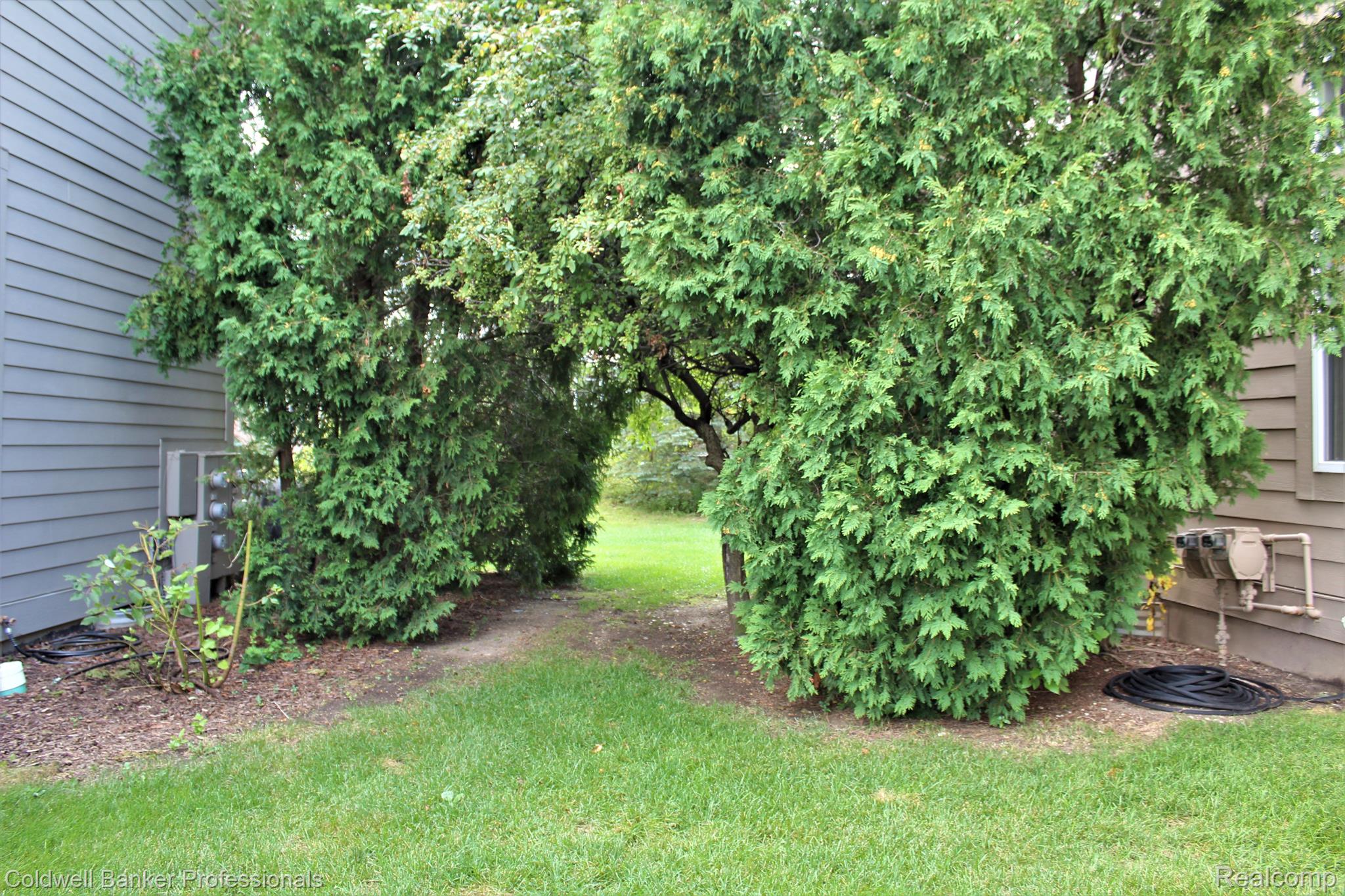 3472 BENT TRAIL Drive