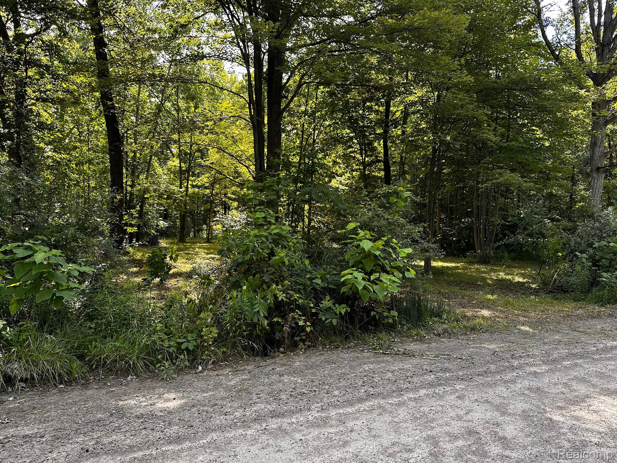 Vacant 00000 HAGGERTY Road