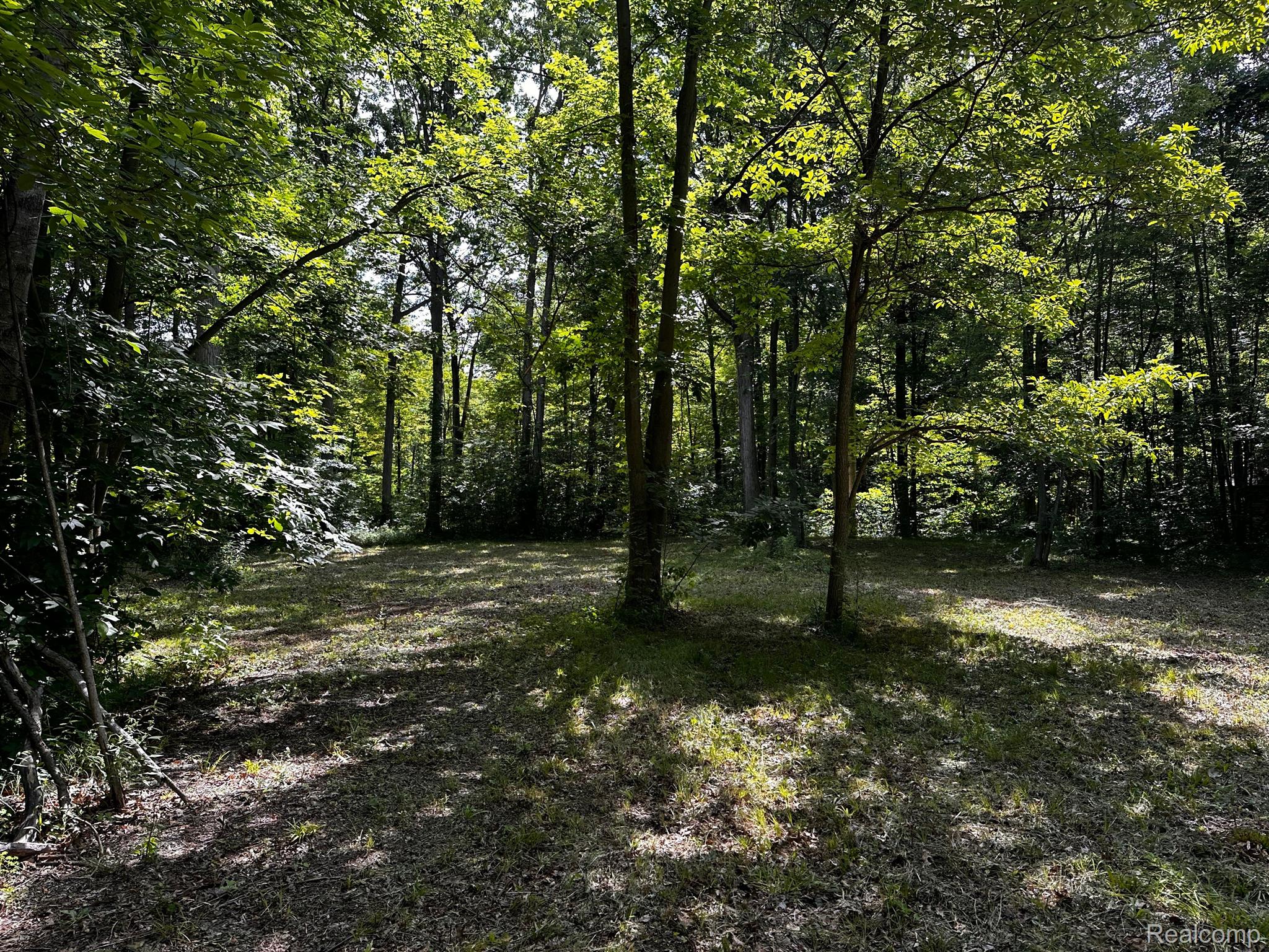 Vacant 00000 HAGGERTY Road