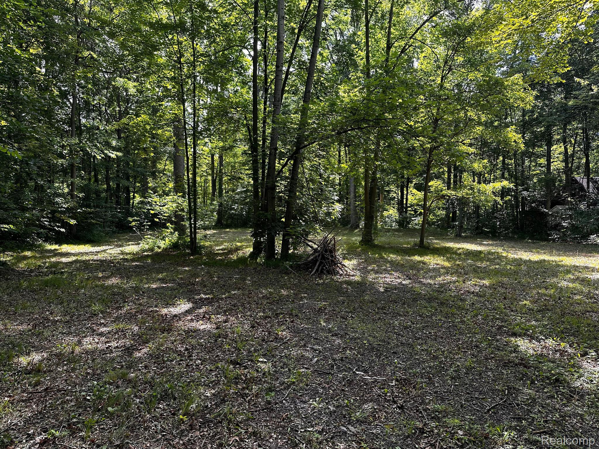 Vacant 00000 HAGGERTY Road