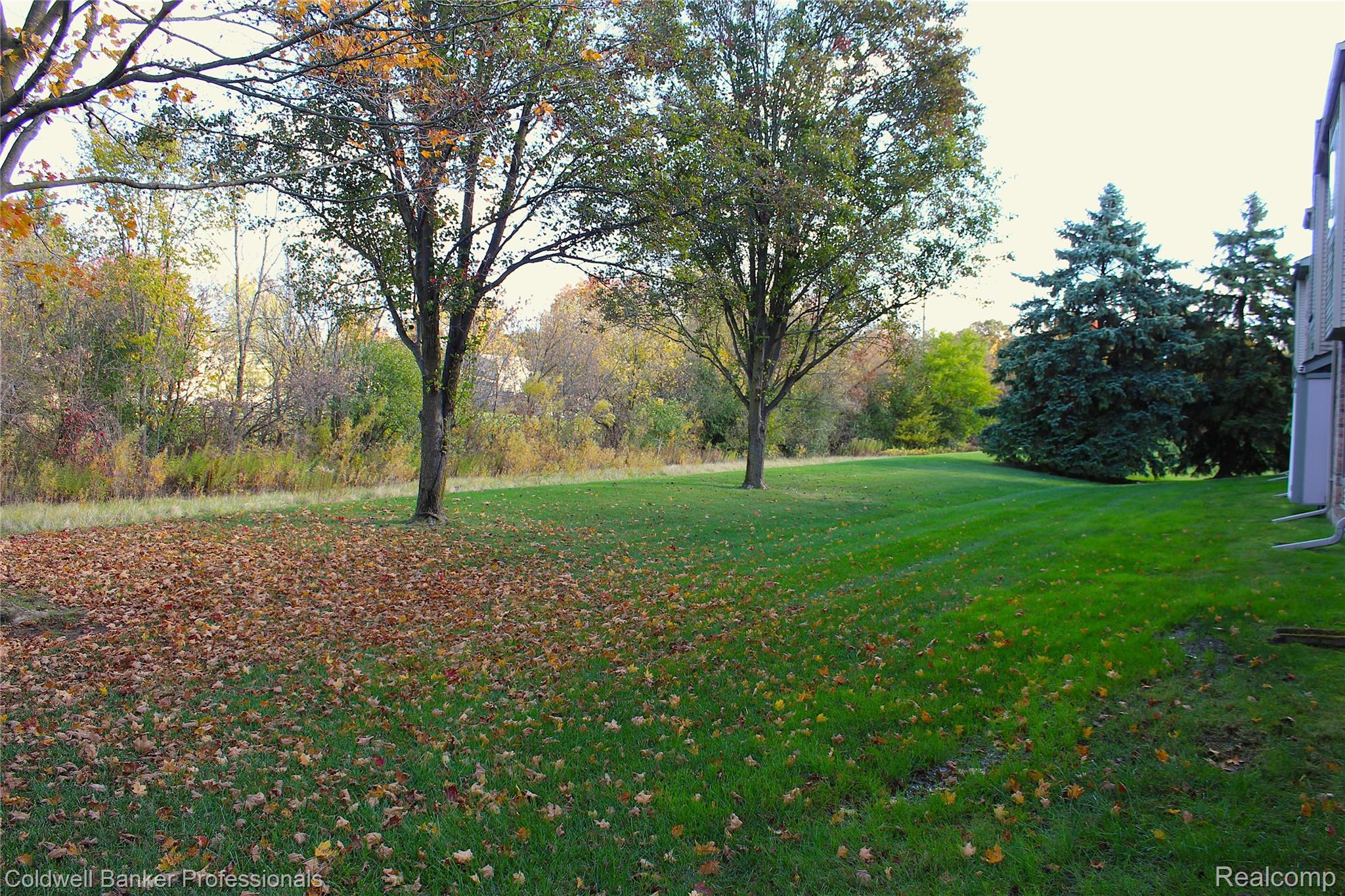 42540 Lilley Pointe Drive