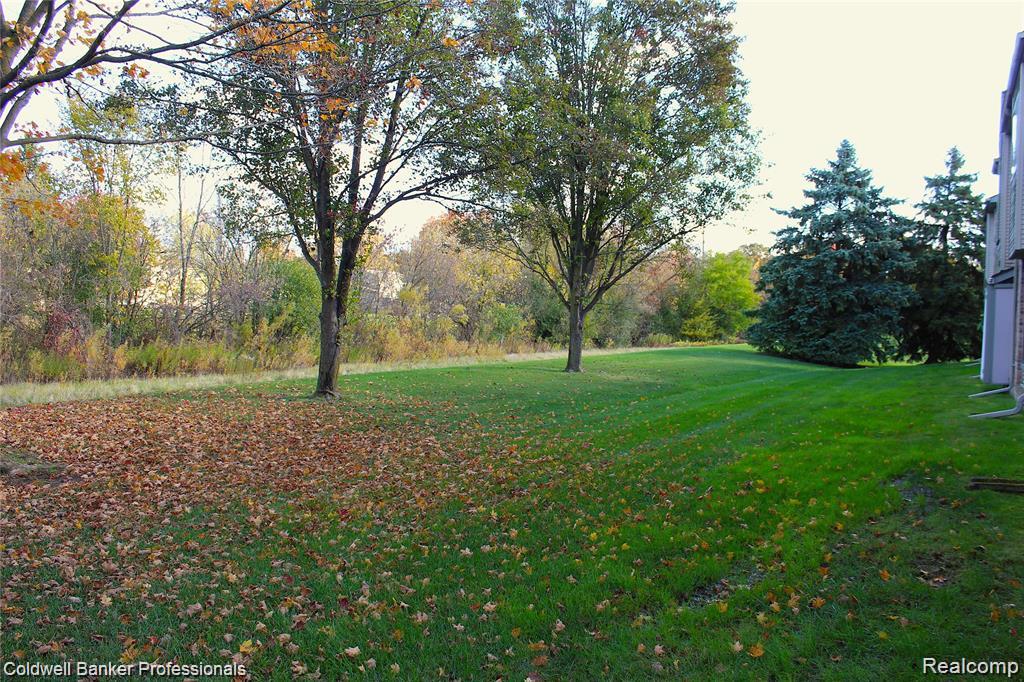 42540 Lilley Pointe Drive