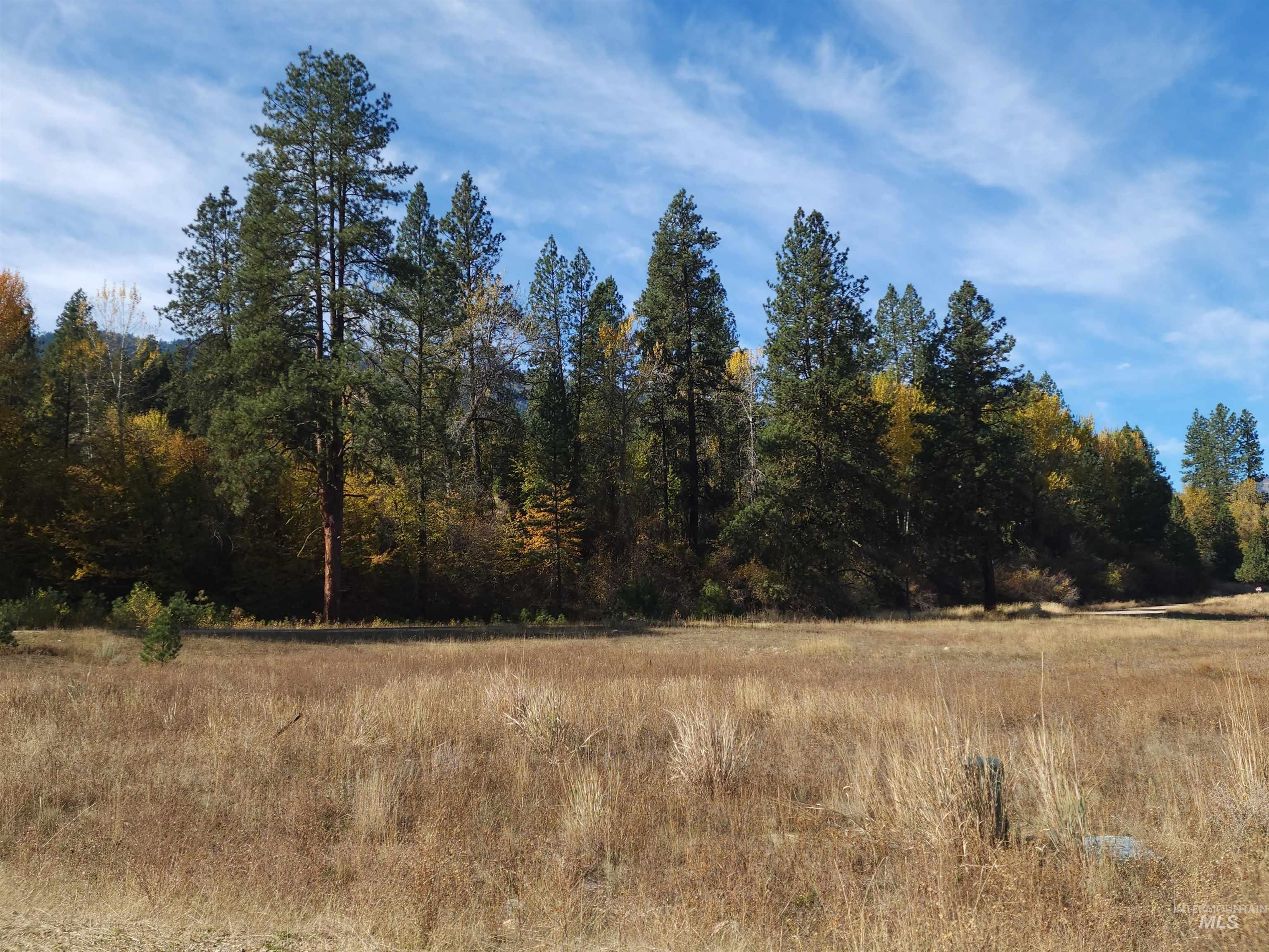 Lot 11 Blk 7 Singing Springs Way