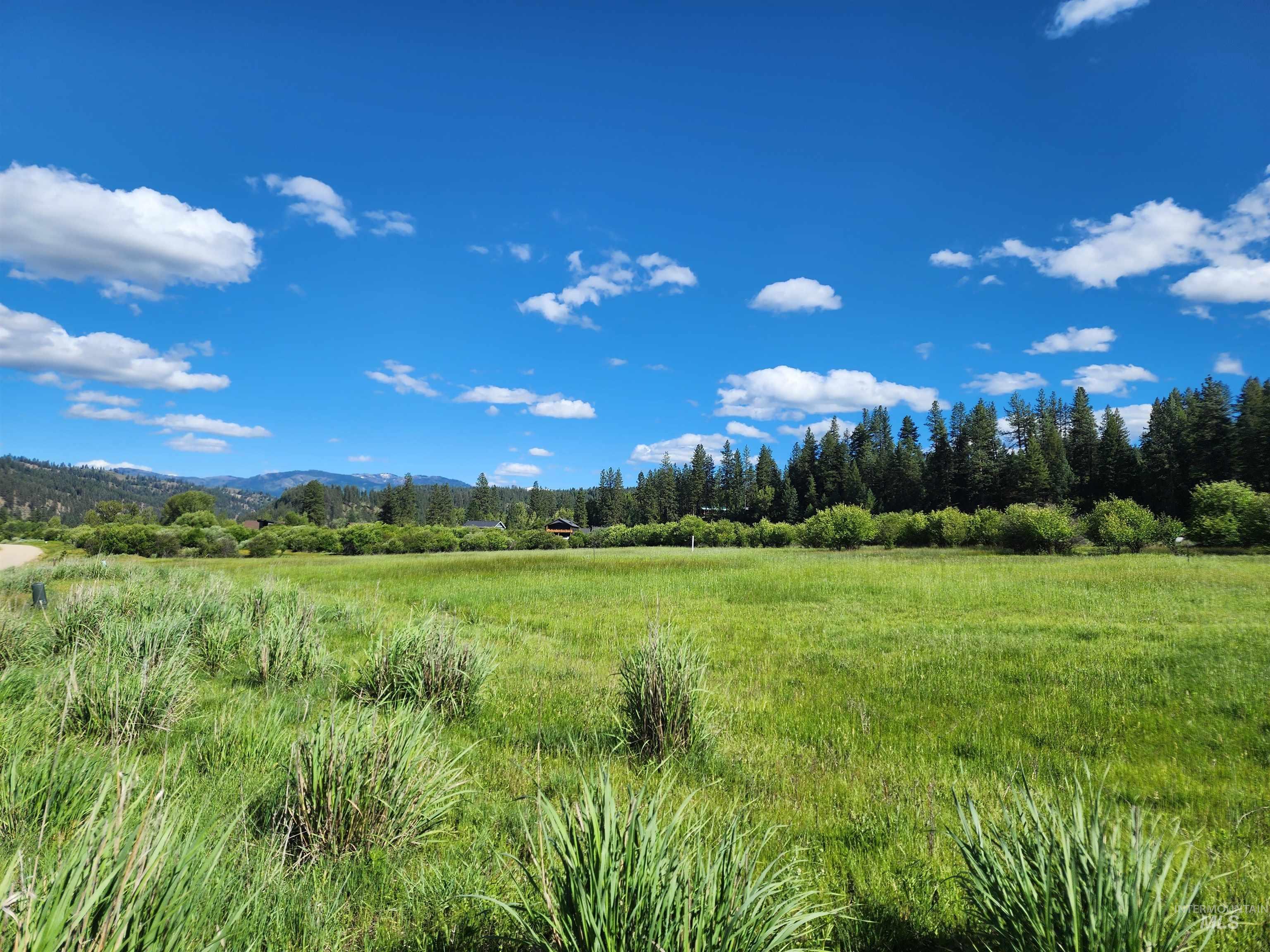 Lot 11 Blk 7 Singing Springs Way