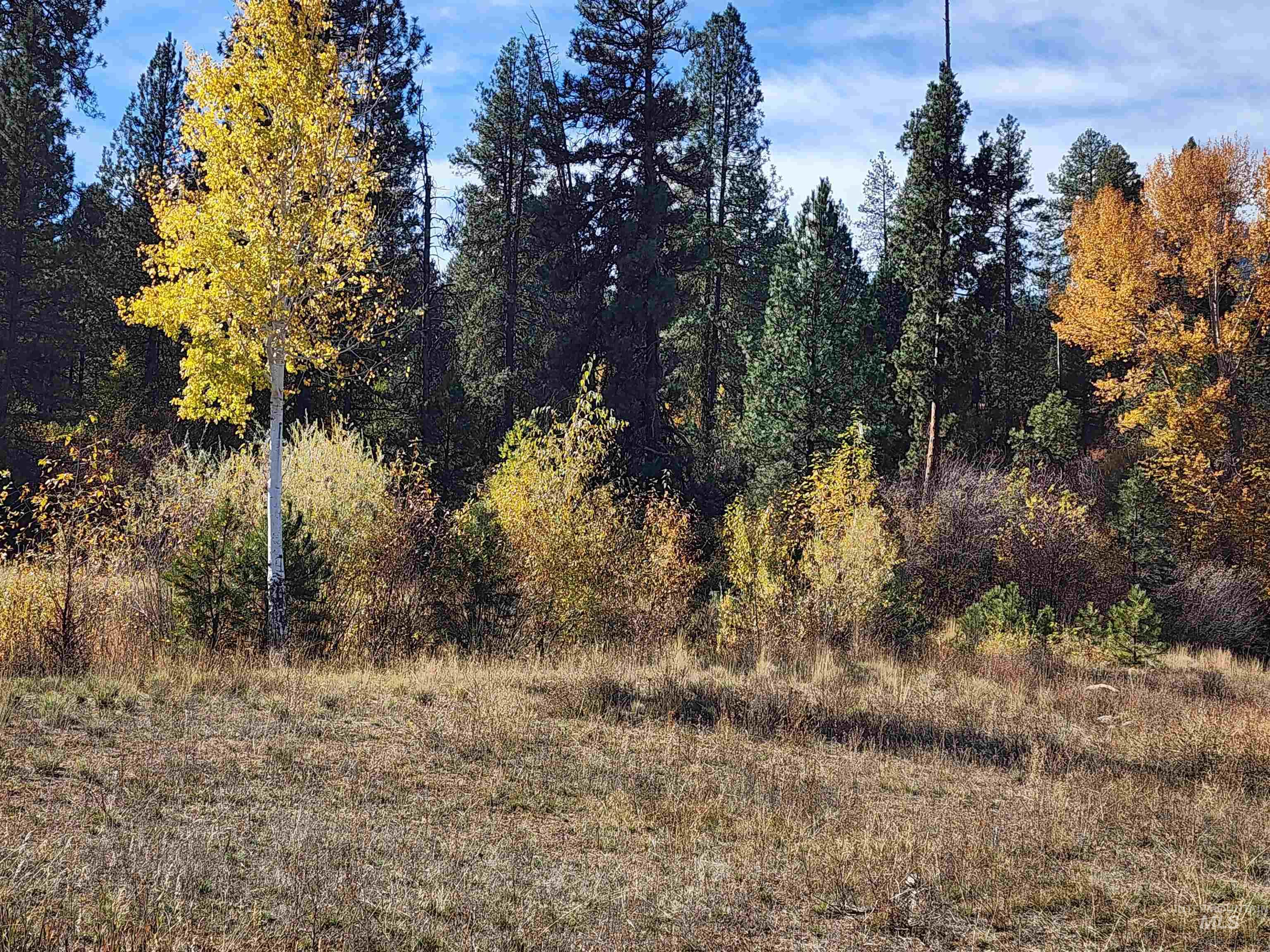 Lot 11 Blk 7 Singing Springs Way