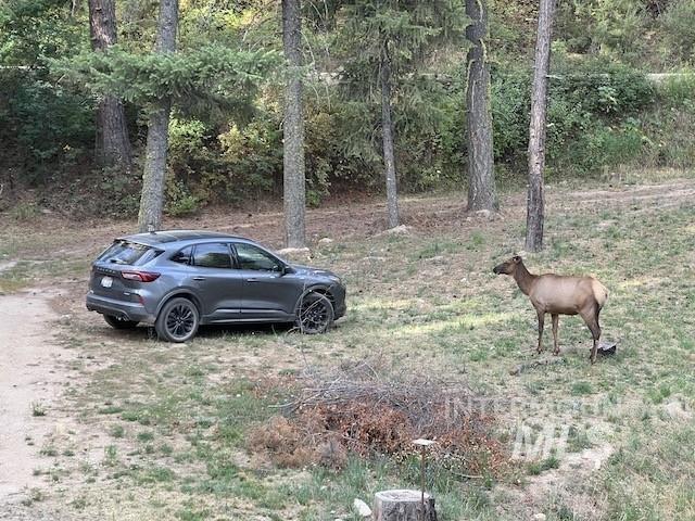 70 Castle Mountain Dr