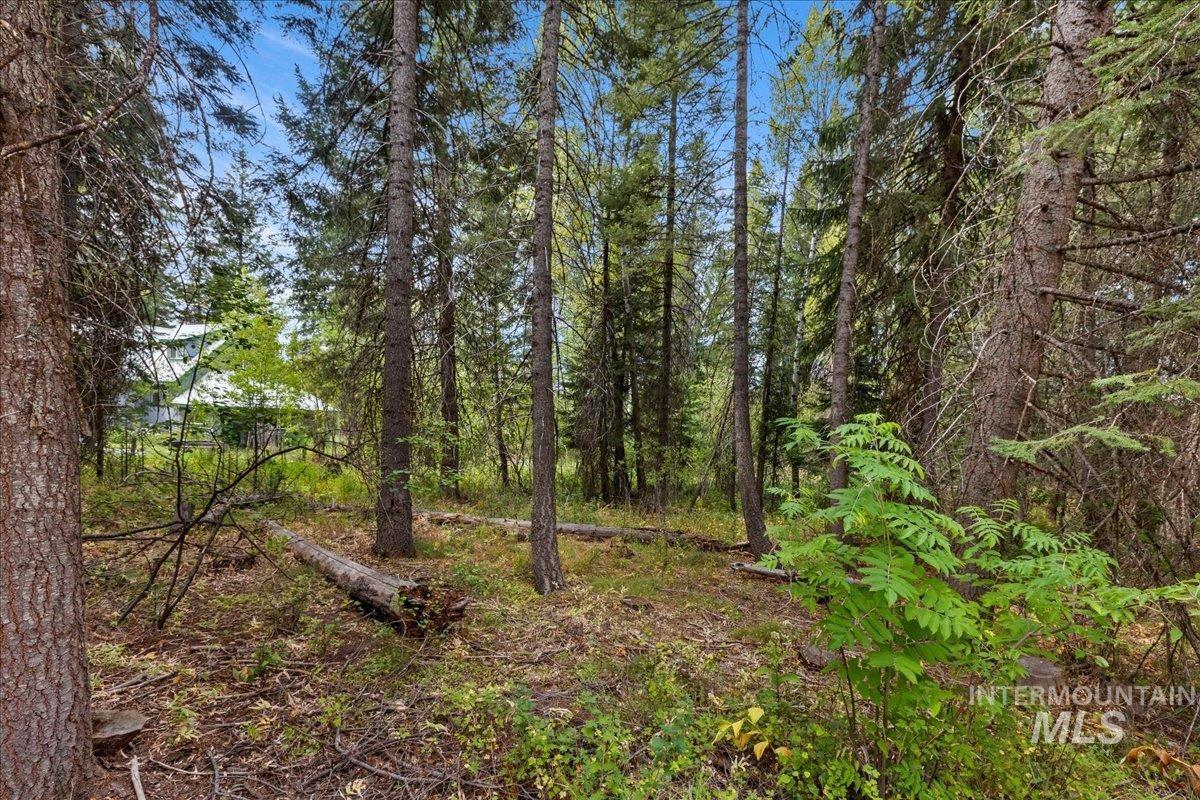 813 & 815 Reedy Lane