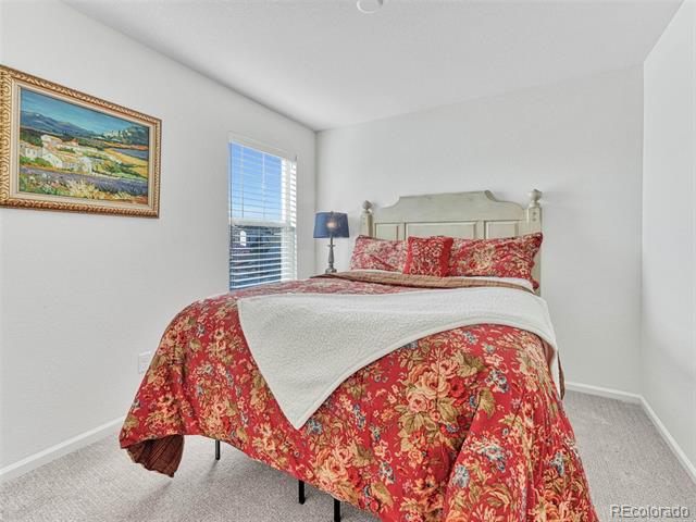 14237 Hop Clover Trail