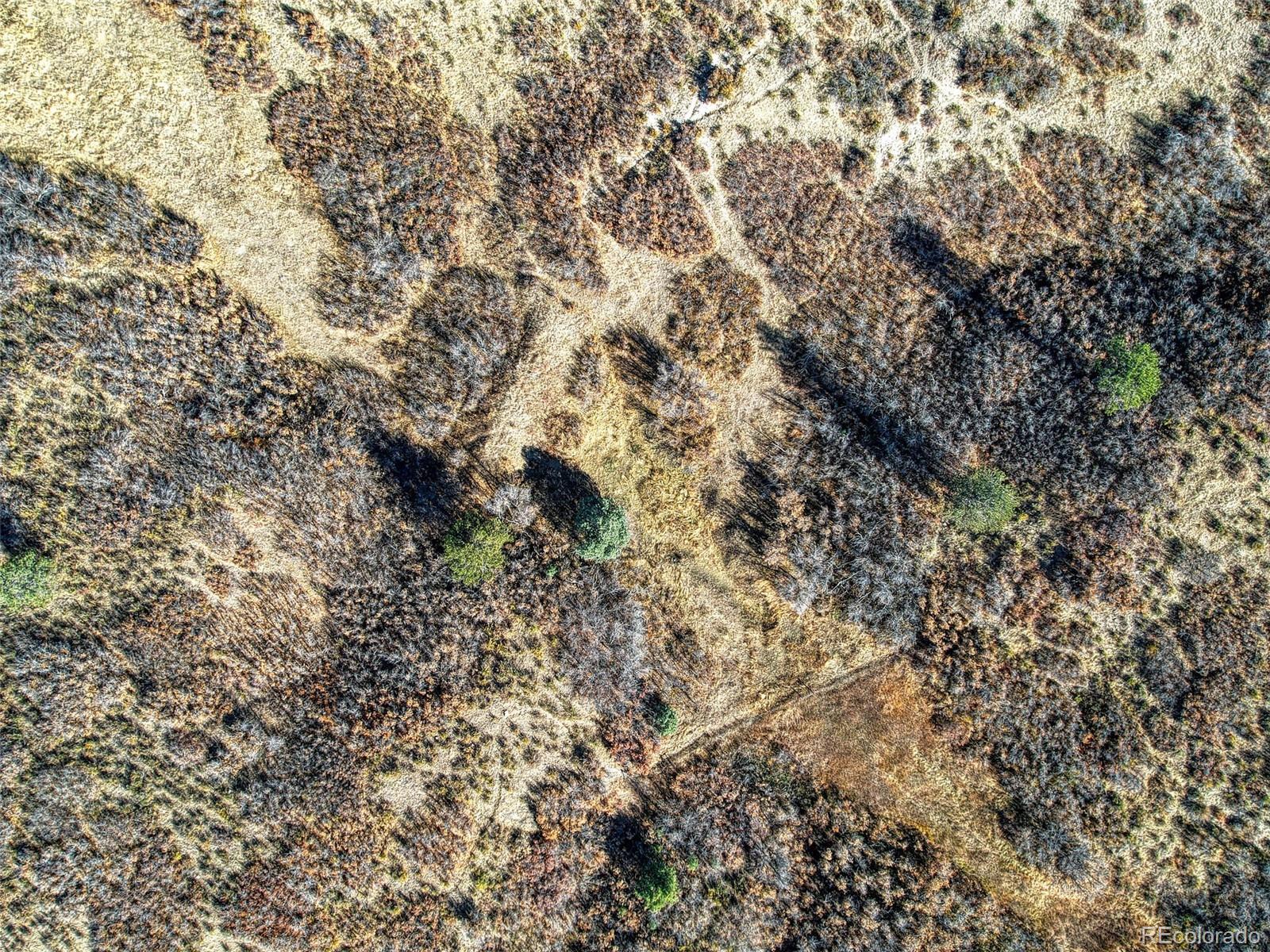 5053 N Crowfoot Valley Road