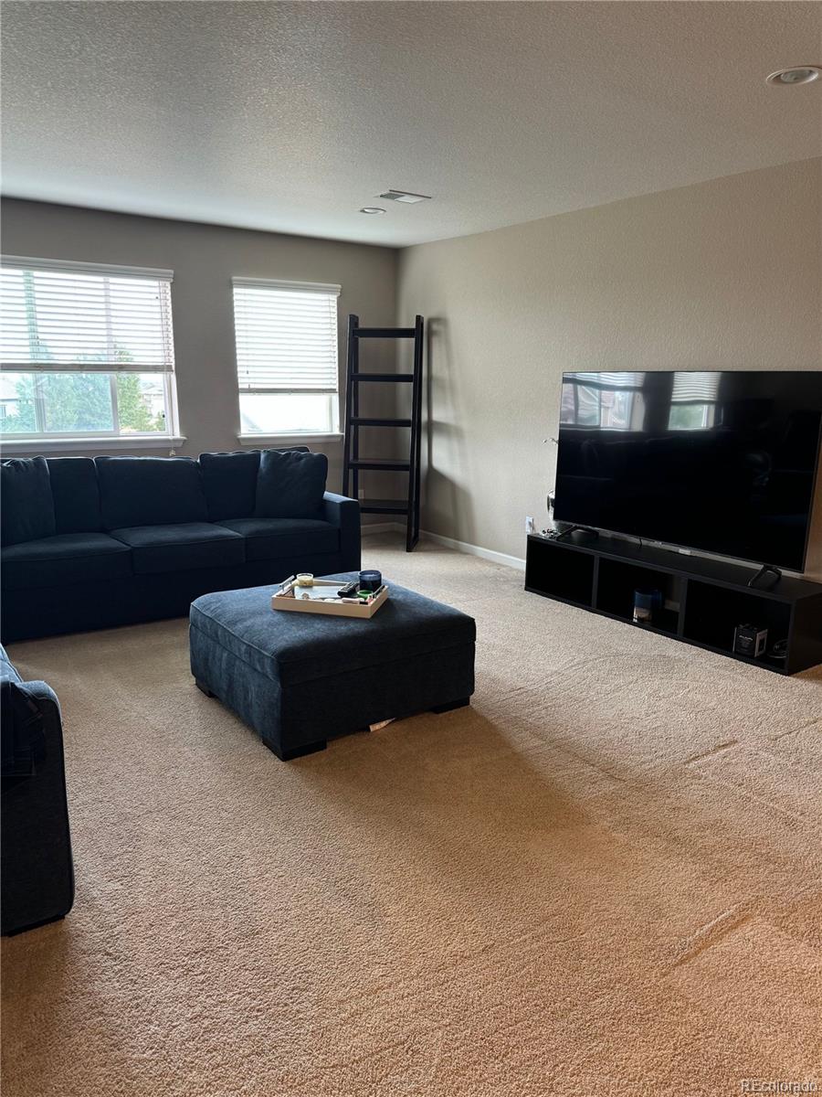 10522 Sierra Ridge Drive