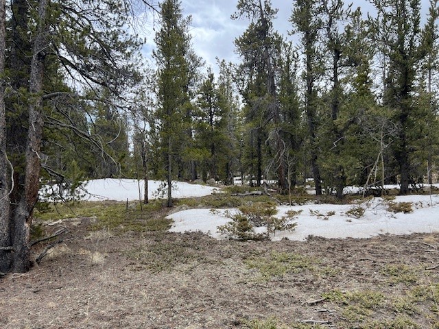 BUSCH RUN Platte DRIVE