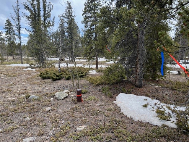 BUSCH RUN Platte DRIVE