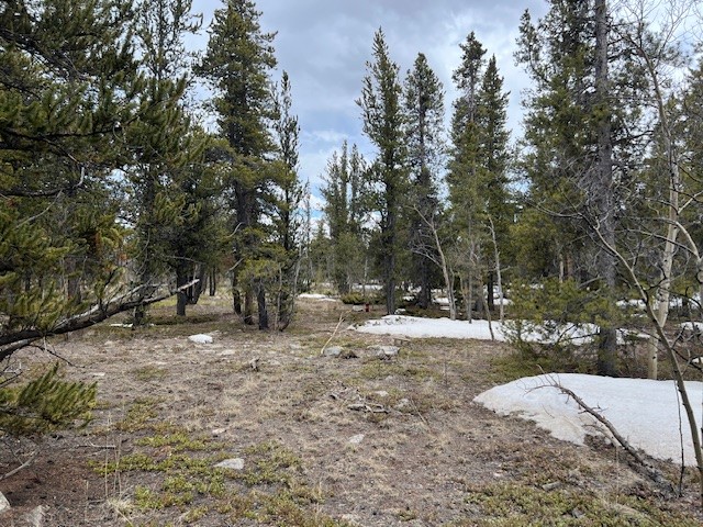 BUSCH RUN Platte DRIVE