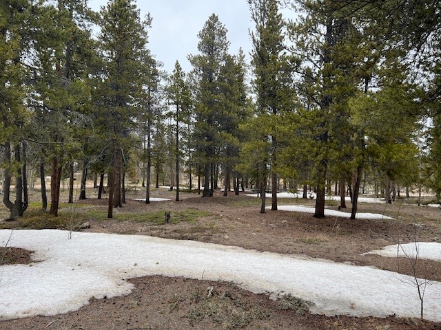 BUSCH RUN Platte DRIVE