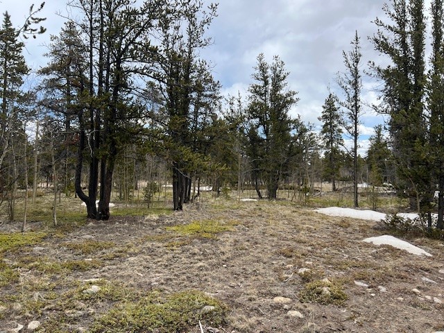 BUSCH RUN Platte DRIVE