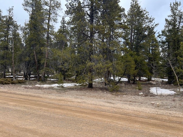 BUSCH RUN Platte DRIVE