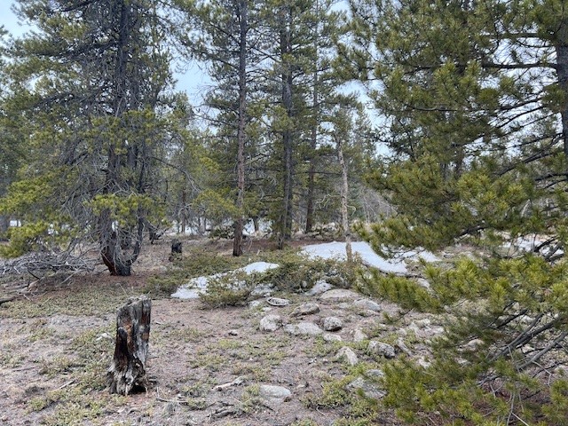 BUSCH RUN Platte DRIVE