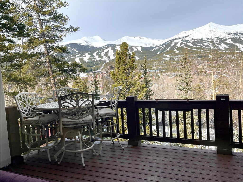 223 S Gold Flake TERRACE