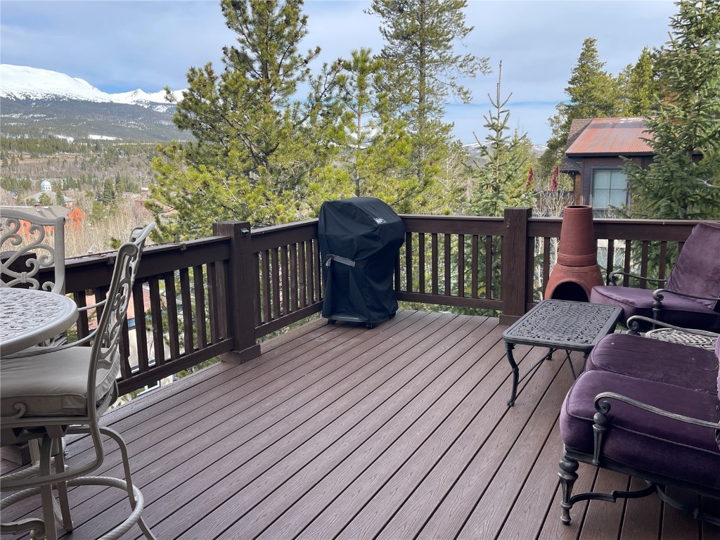 223 S Gold Flake TERRACE