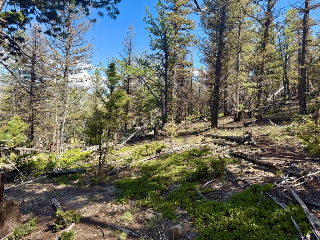 Lot 223 Middle Fork Vista