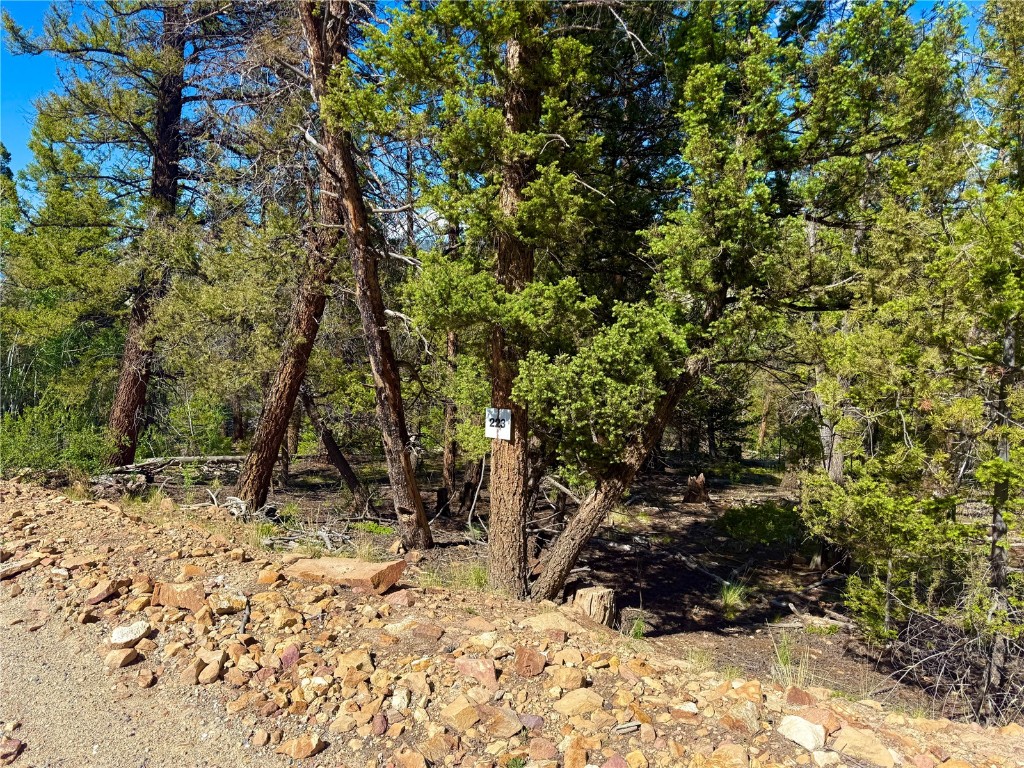 Lot 223 Middle Fork Vista