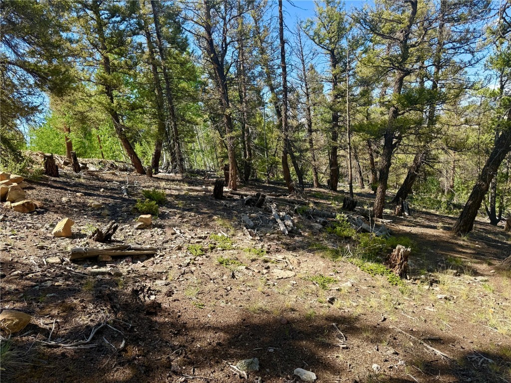 Lot 223 Middle Fork Vista