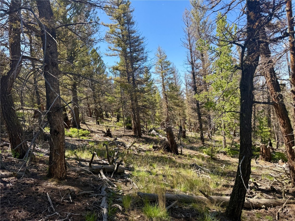 Lot 223 Middle Fork Vista