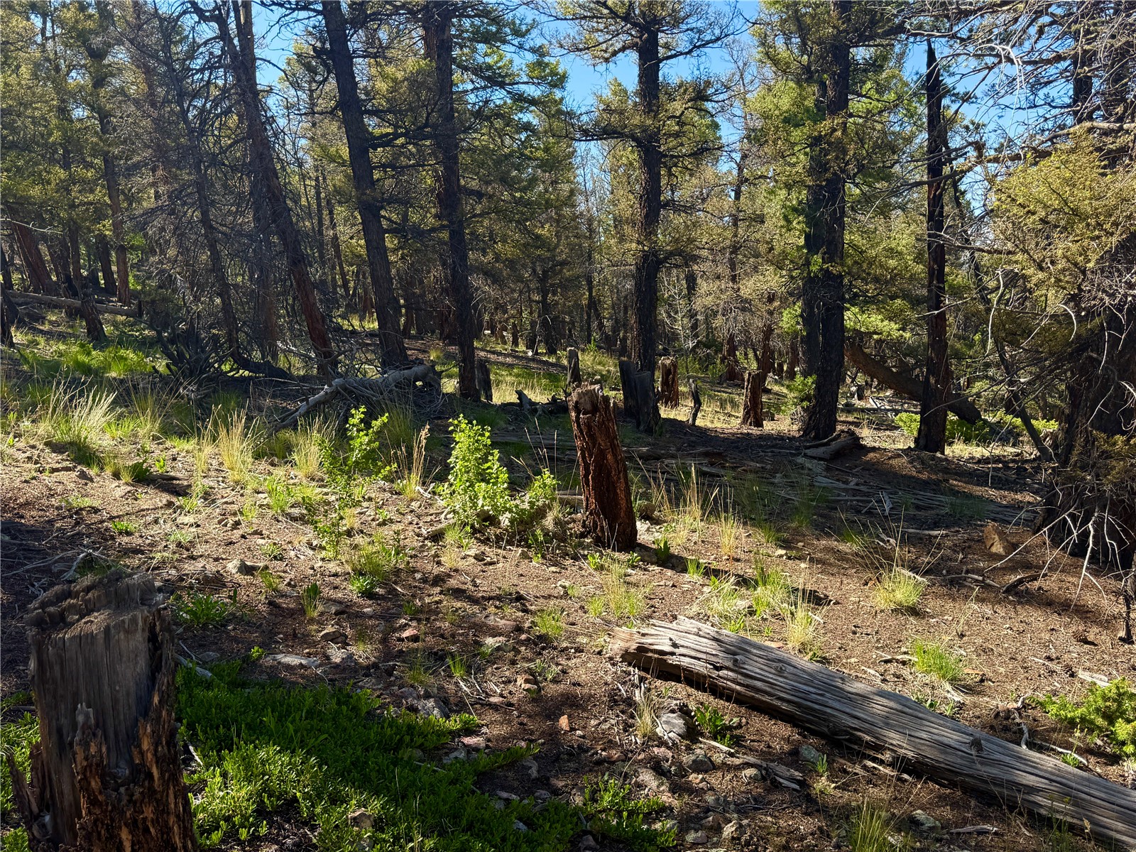 Lot 223 Middle Fork Vista