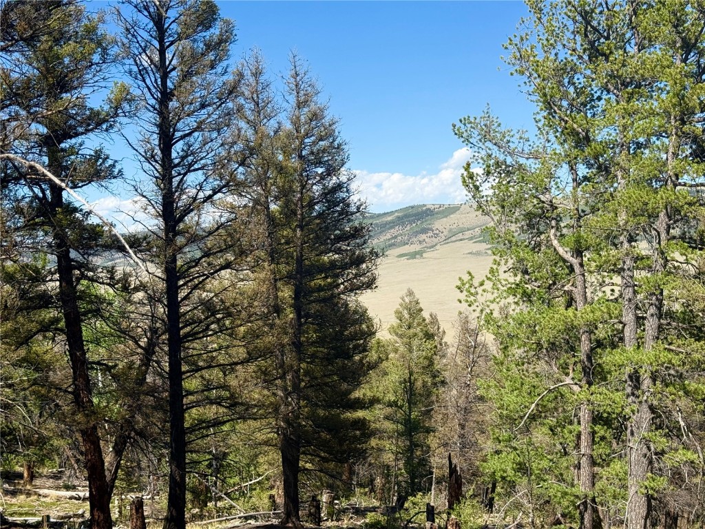 Lot 223 Middle Fork Vista