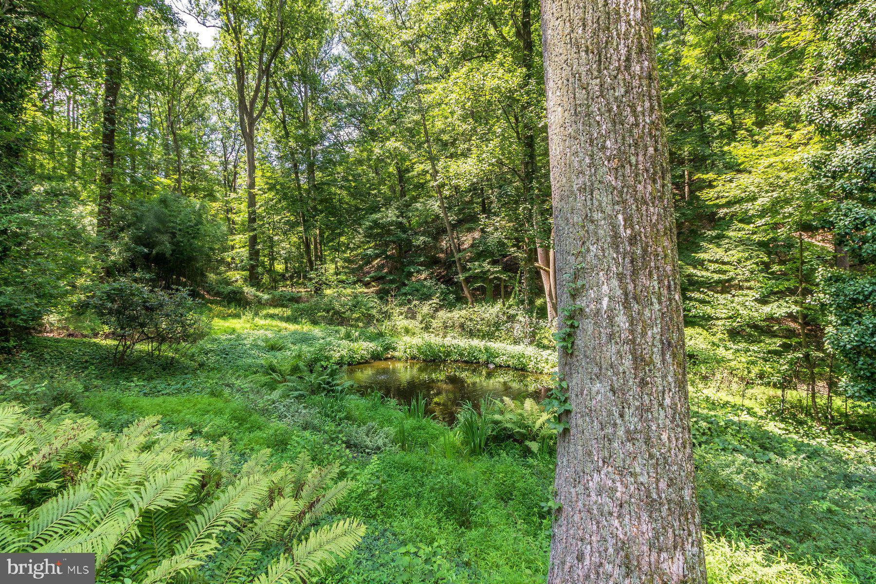 6615 And 6625 Greenhill Rd