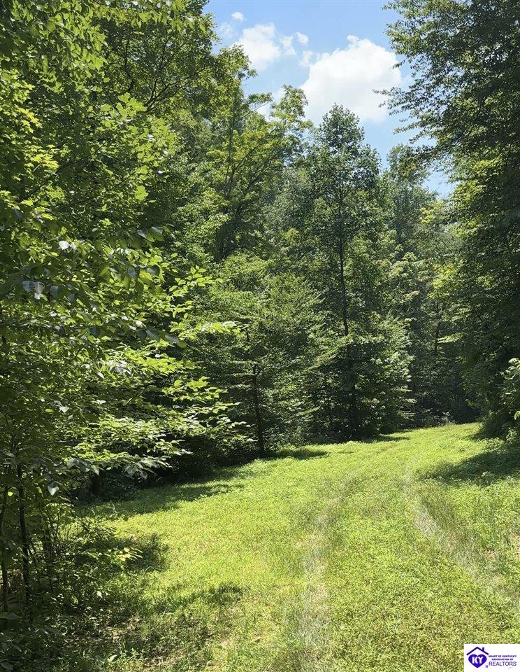 2385 Pikes Ridge Road