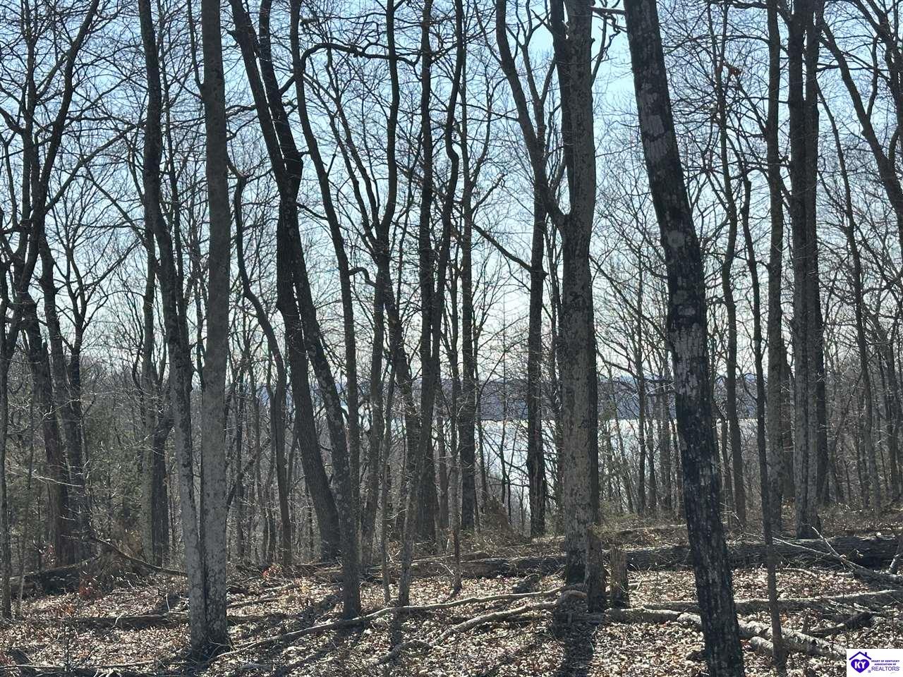 0 Pikes Ridge Road