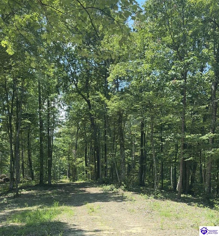 0 Pikes Ridge Road