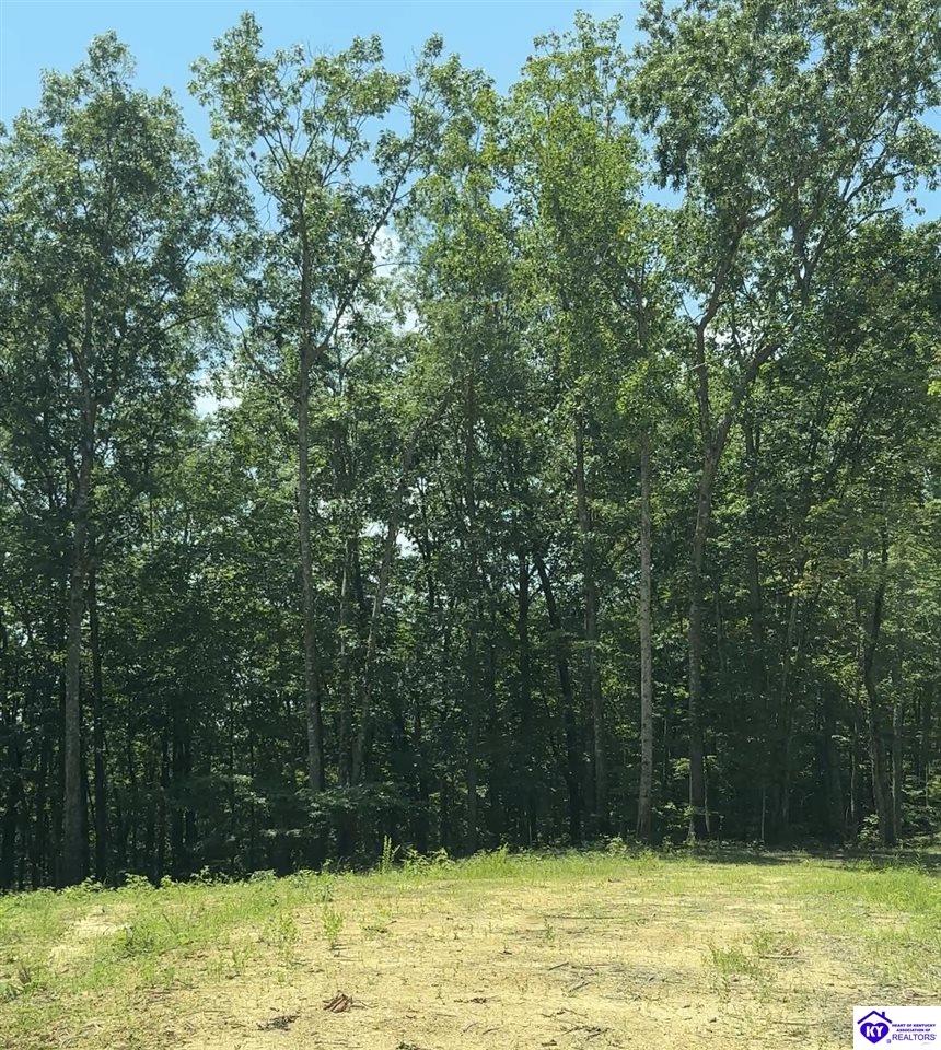 0 Pikes Ridge Road