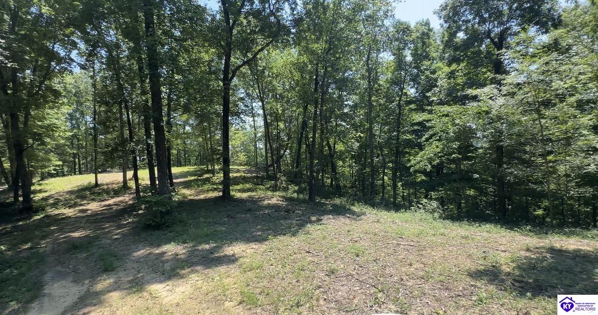 0 Pikes Ridge Road
