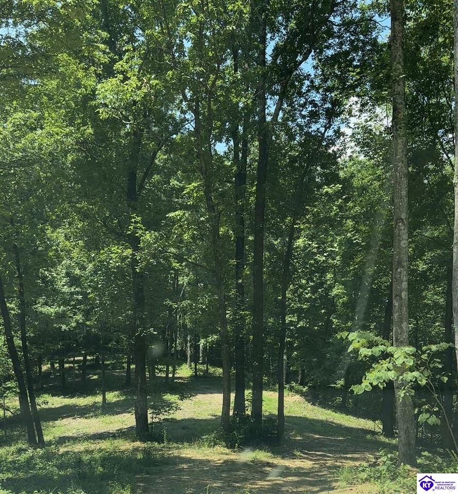 0 Pikes Ridge Road