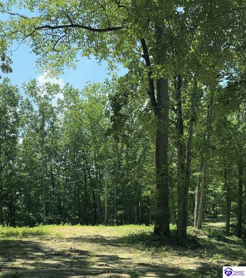 0 Pikes Ridge Road