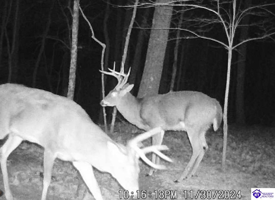 0 Pikes Ridge Road