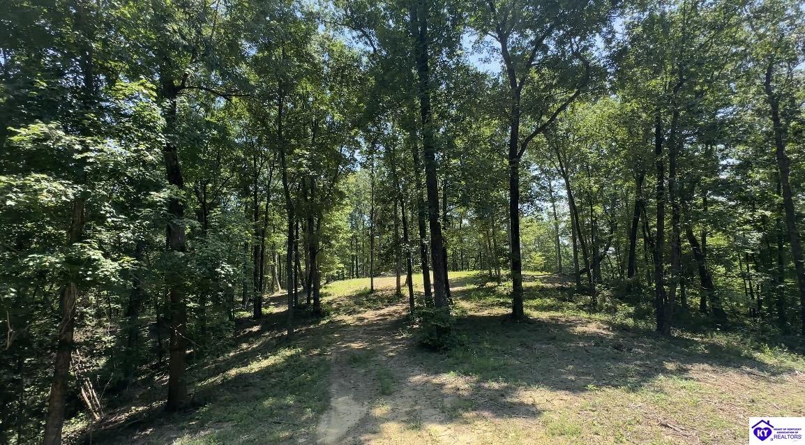 0 Pikes Ridge Road