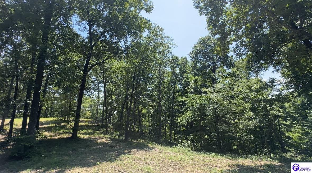 0 Pikes Ridge Road