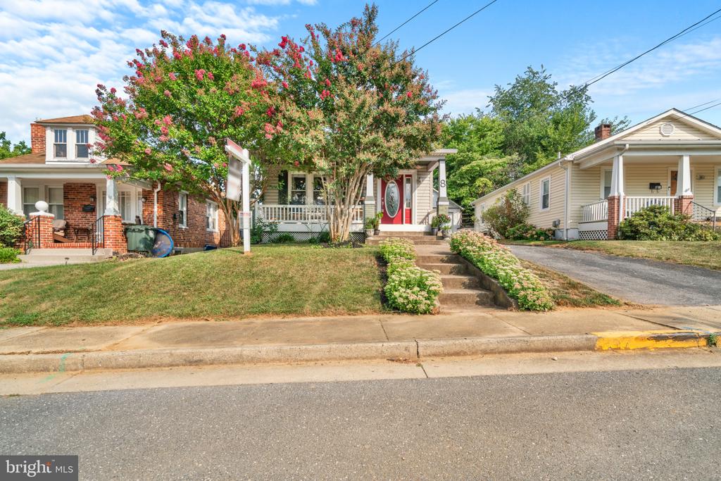8 DAVIS AVENUE