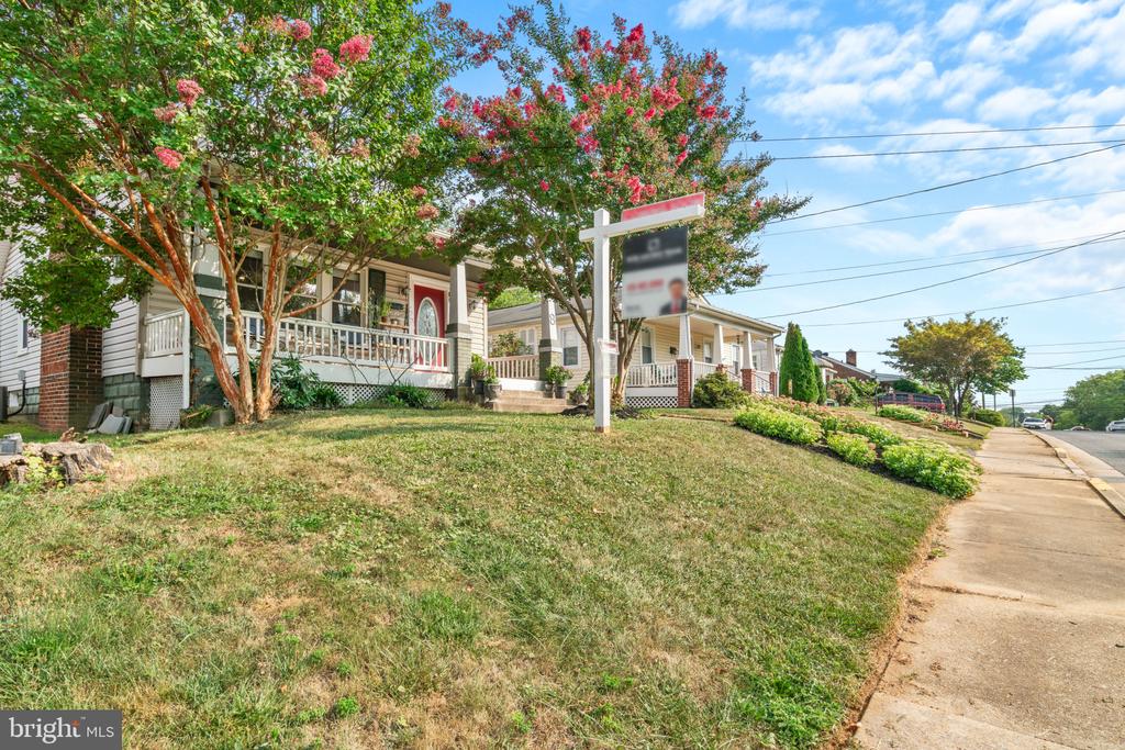 8 DAVIS AVENUE