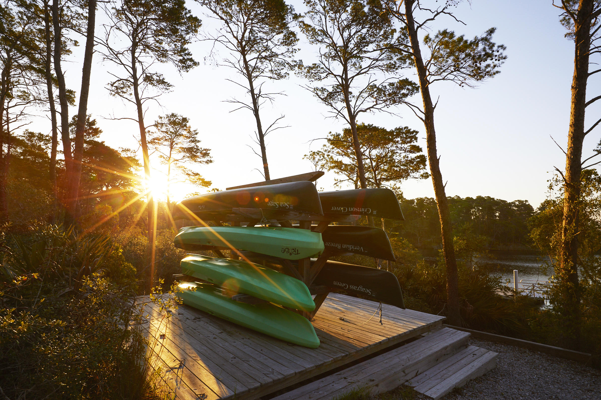Kayaks on a wooden waterfront deck among pine trees at sunset.