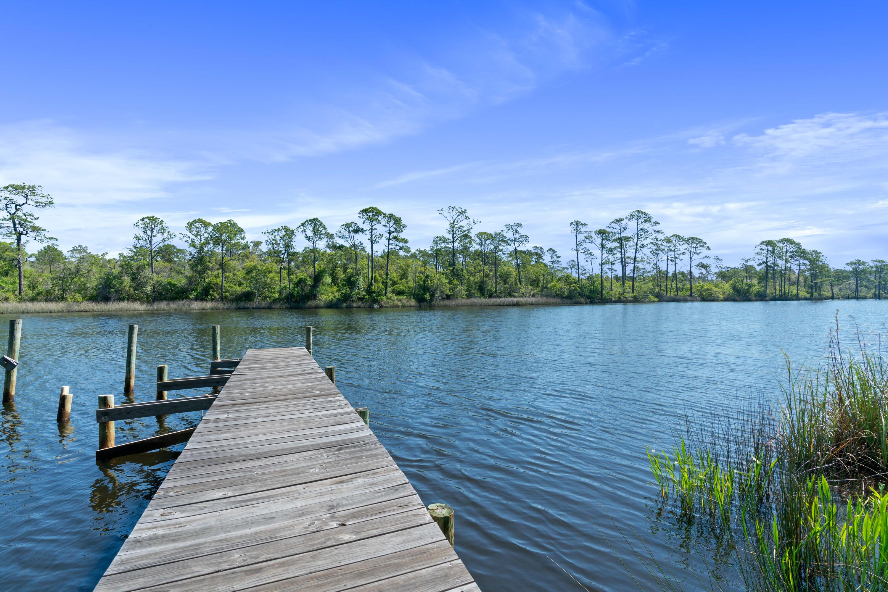 Wooden dock extending into a lake, with reeds and a tree-lined shore.