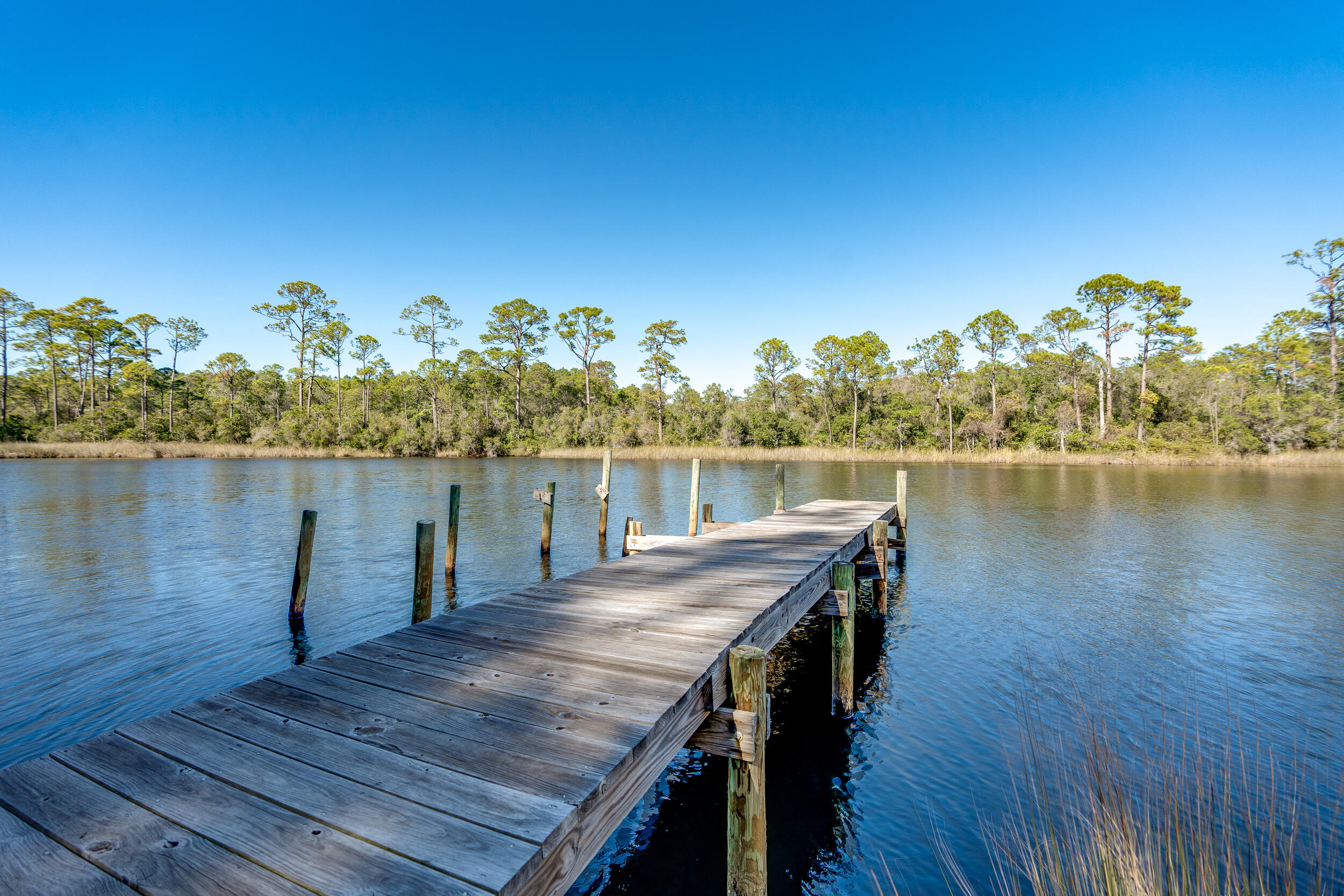 Wooden dock extending into a blue inlet, with a tree-lined shore beyond.
