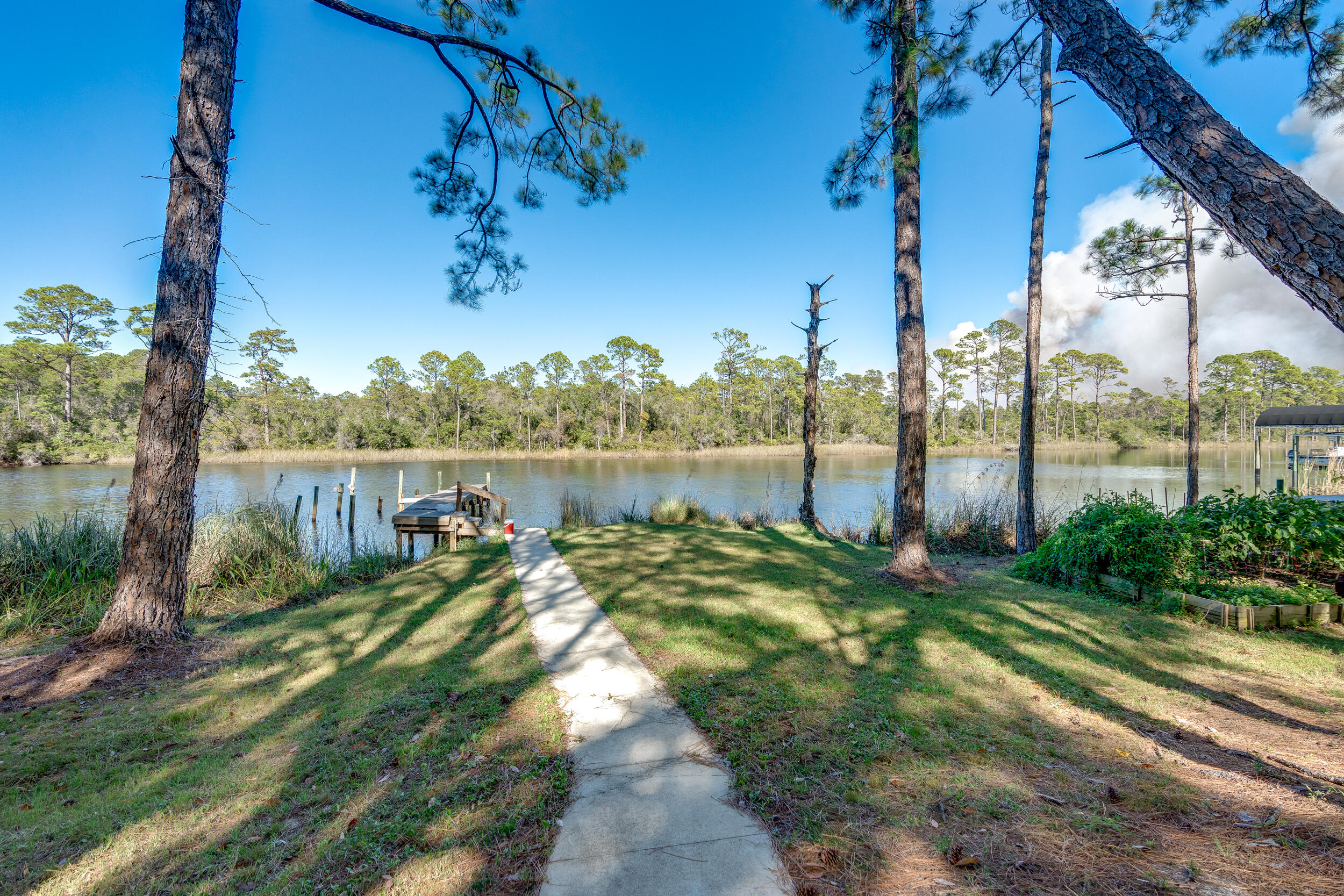 Grassy waterfront yard with a walkway leading to a wooden dock among pine trees.