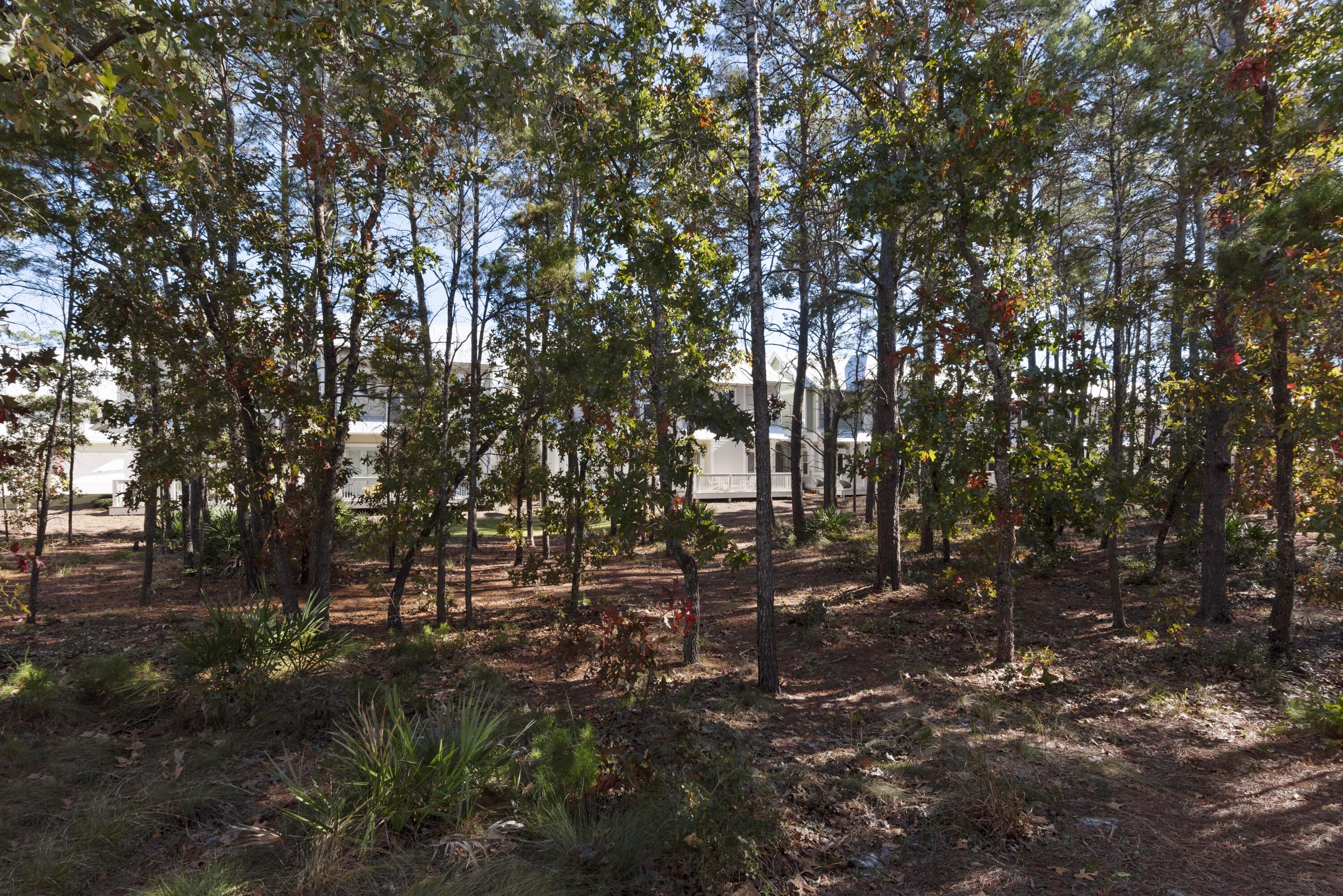 White home partly hidden among trees, with a porch and woodland vegetation in the foreground.