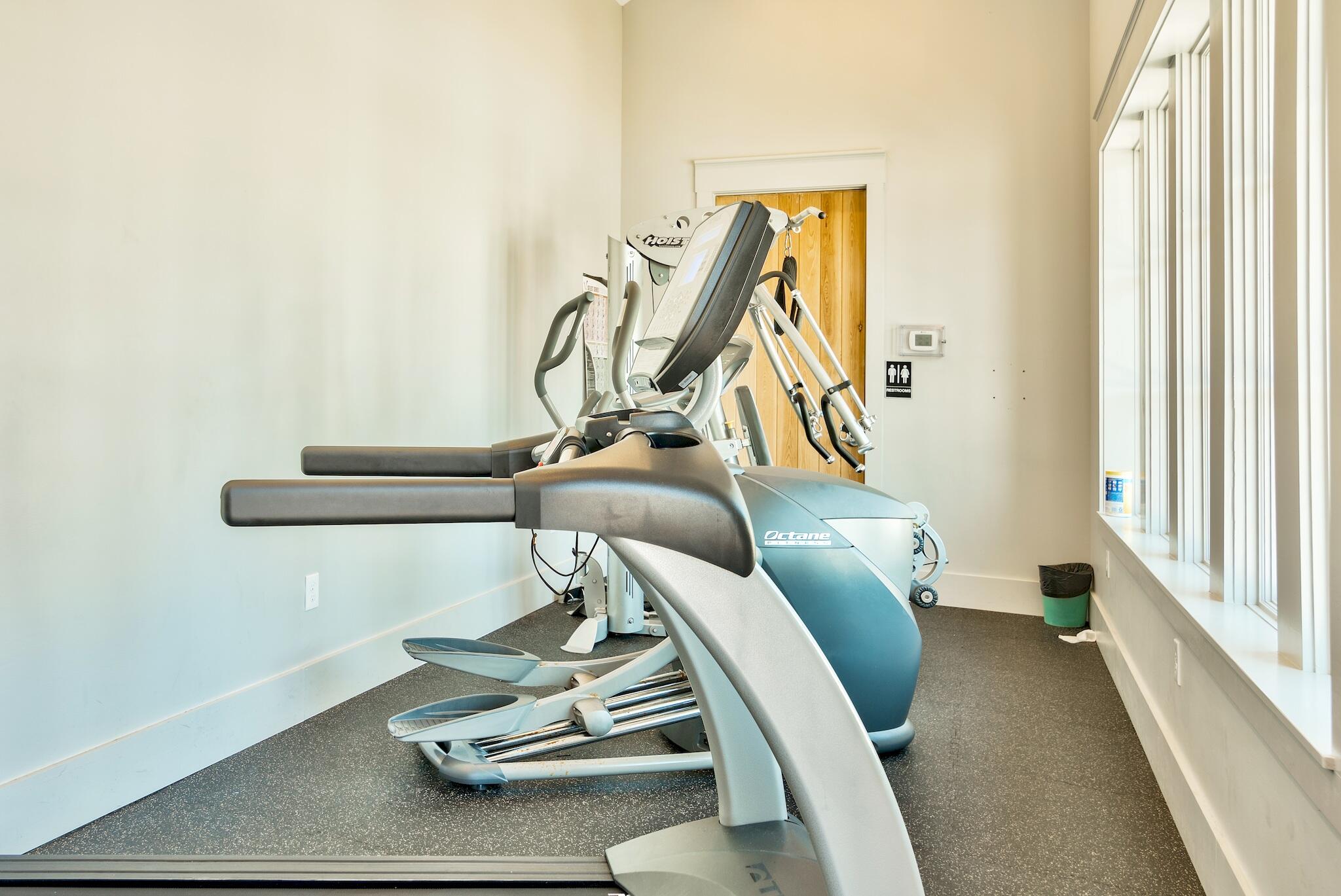Fitness room with Hoist and Octane exercise machines beside tall windows.